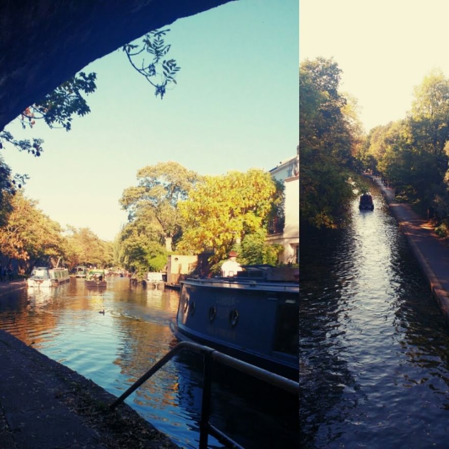 The canal that runs through Regent's Park, in Camden
